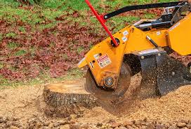 Best Lawn Drainage Solutions  in Wolfdale, PA